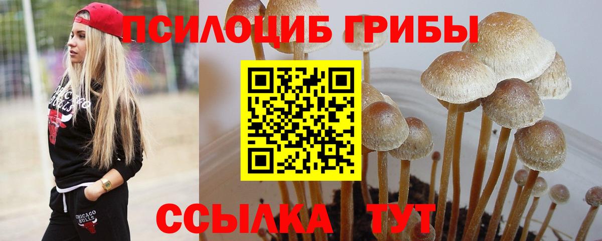 Галлюциногенные грибы мицелий Сургут